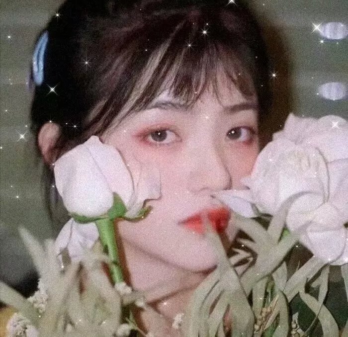 派特森